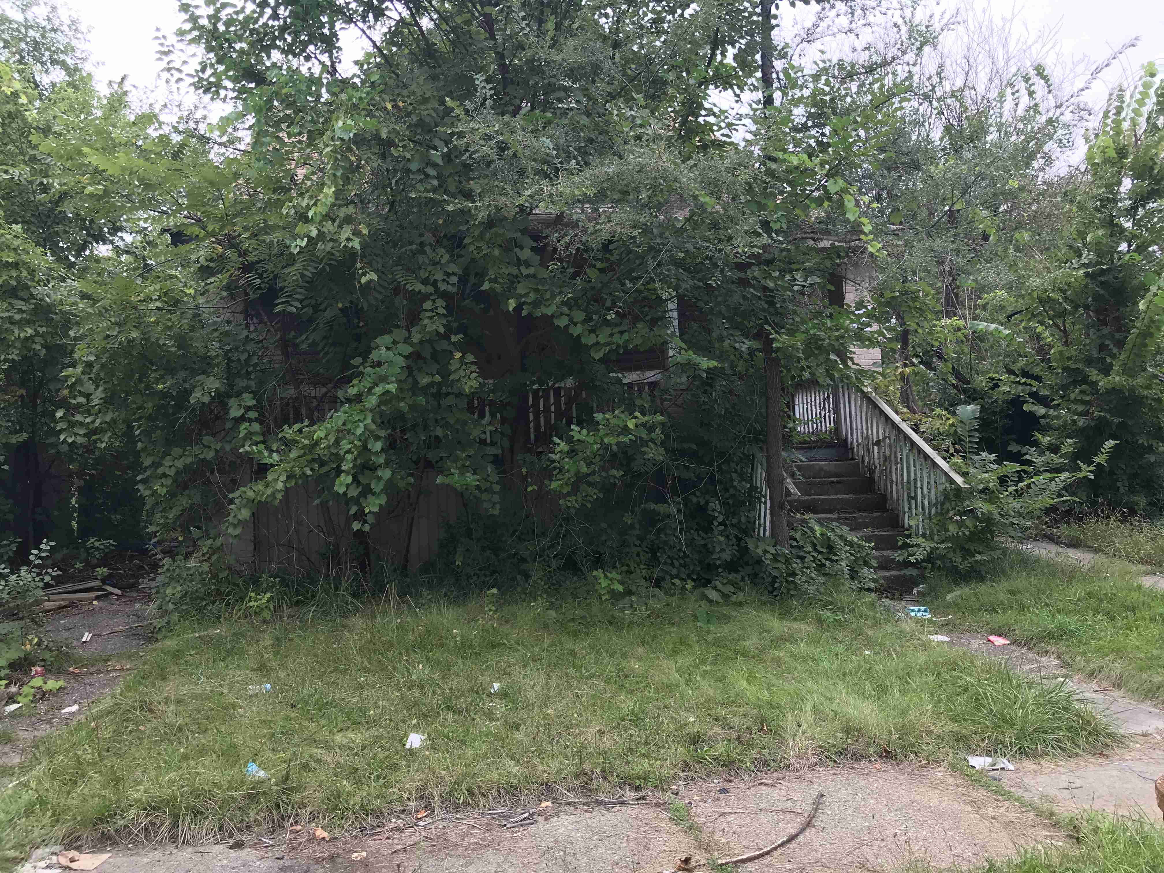 Photo Sep 10, 2 32 00 PM (1).jpg